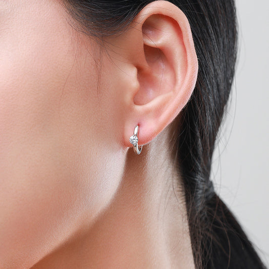 S925 Silver Luxury Diamond Earrings for Women