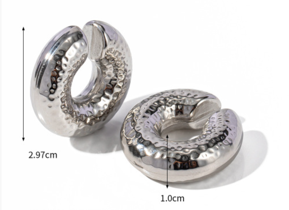 Stainless Steel Earrings