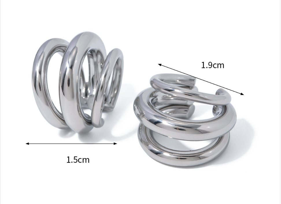 Stainless Steel Earrings
