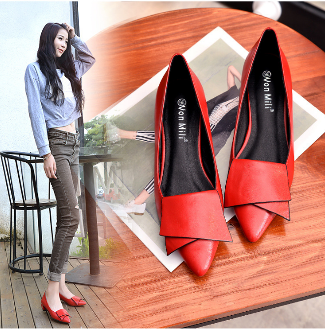 Women’s Pointed Toe Flats with Chunky Heel Design