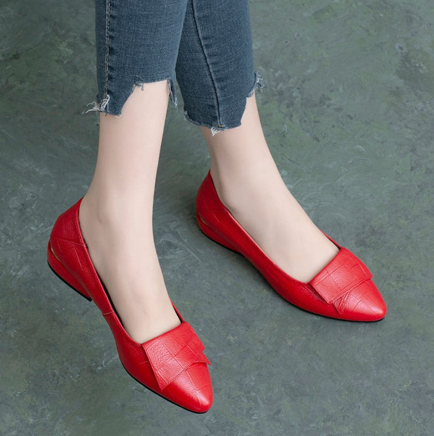 Women's Spring Autumn Pointed Toe Low Heels Soft Shoes