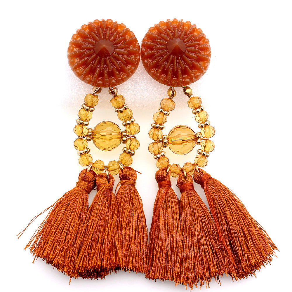 Tassel Earrings Accessories