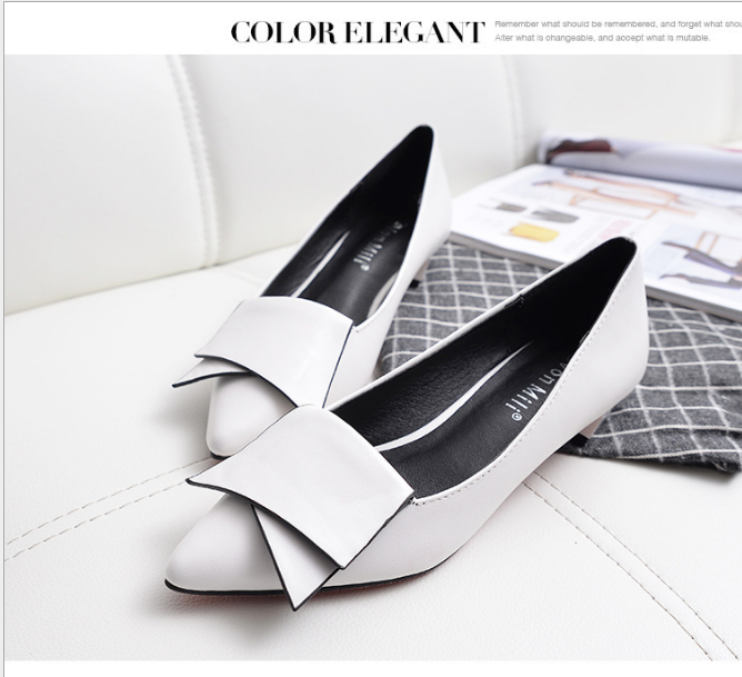 Women’s Pointed Toe Flats with Chunky Heel Design