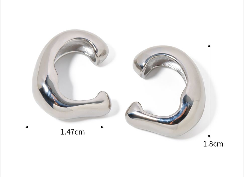 Stainless Steel Earrings