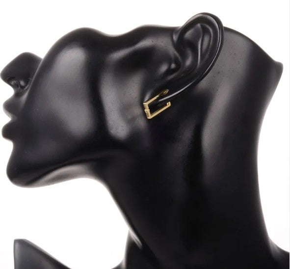 Rectangular Metal Earrings