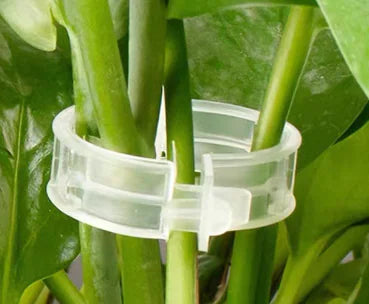 Plastic Plant Support Clips For Vines (One Set)