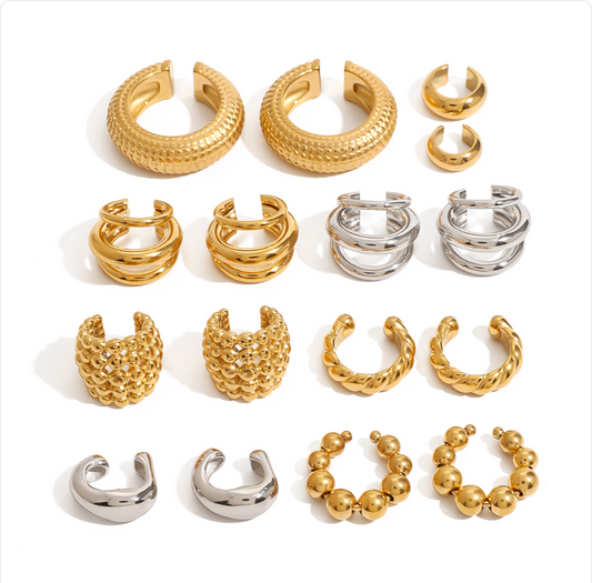 Stainless Steel Earrings