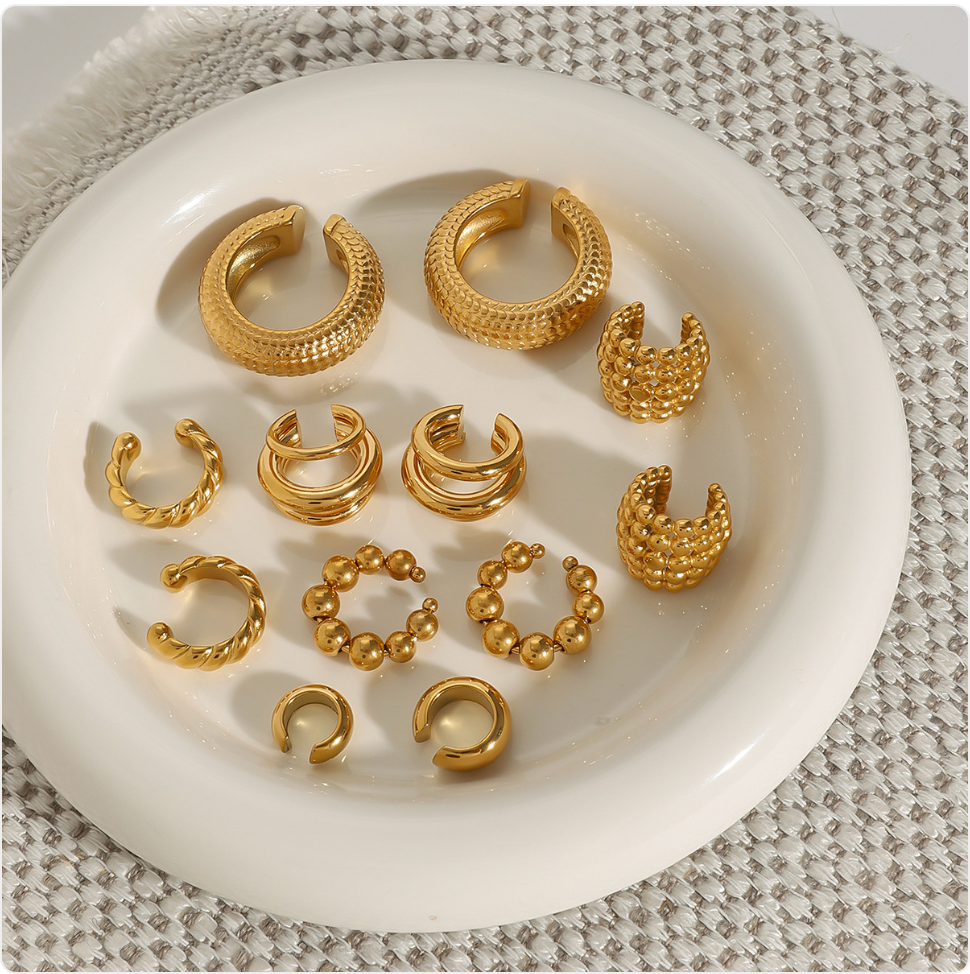 Stainless Steel Earrings
