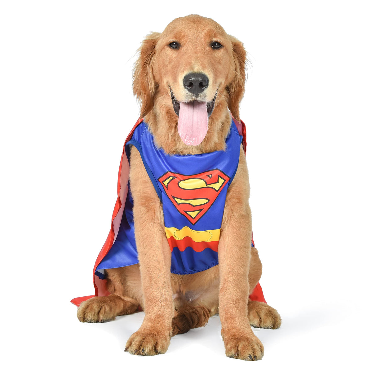 DC Comics Superhero Superman Halloween Dog Costume - Medium - | DC Superhero Halloween Costumes for Dogs Funny Dog Costumes | Officially Licensed DC Dog Halloween Costume ex