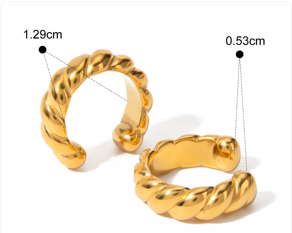 Stainless Steel Earrings