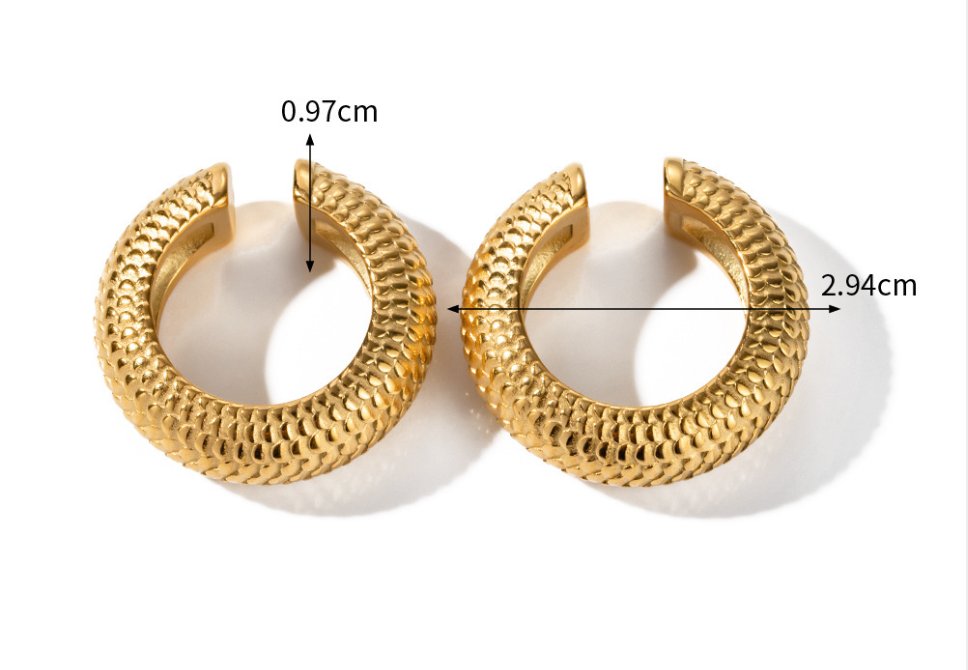 Stainless Steel Earrings