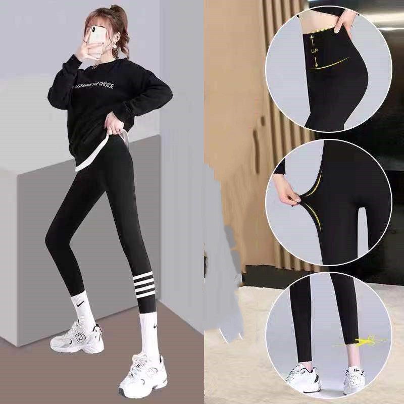 Shark Pants Women’s Thin Leggings for All Seasons