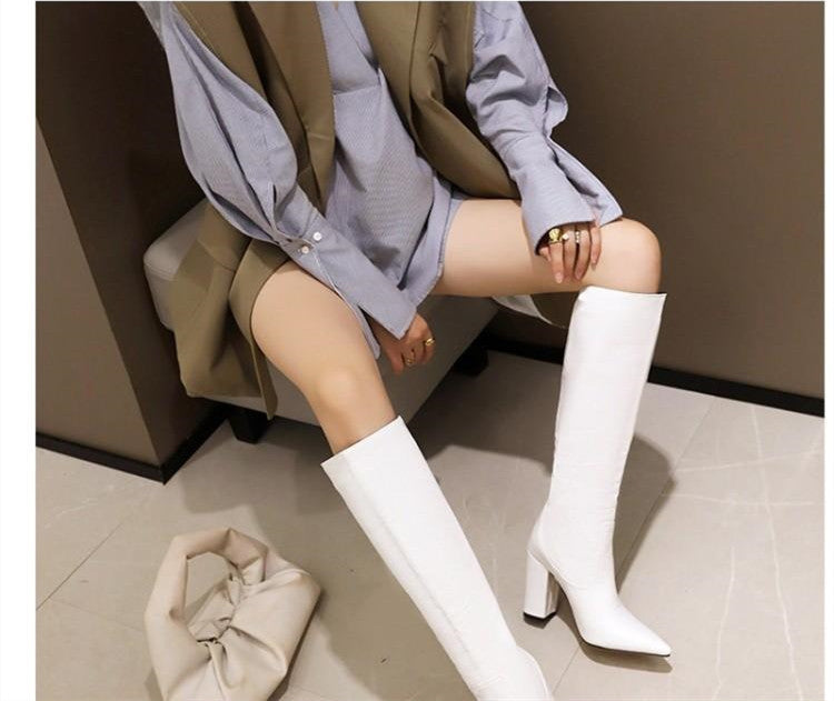 Pointed Super High Heel Snake Print Women’s Boots