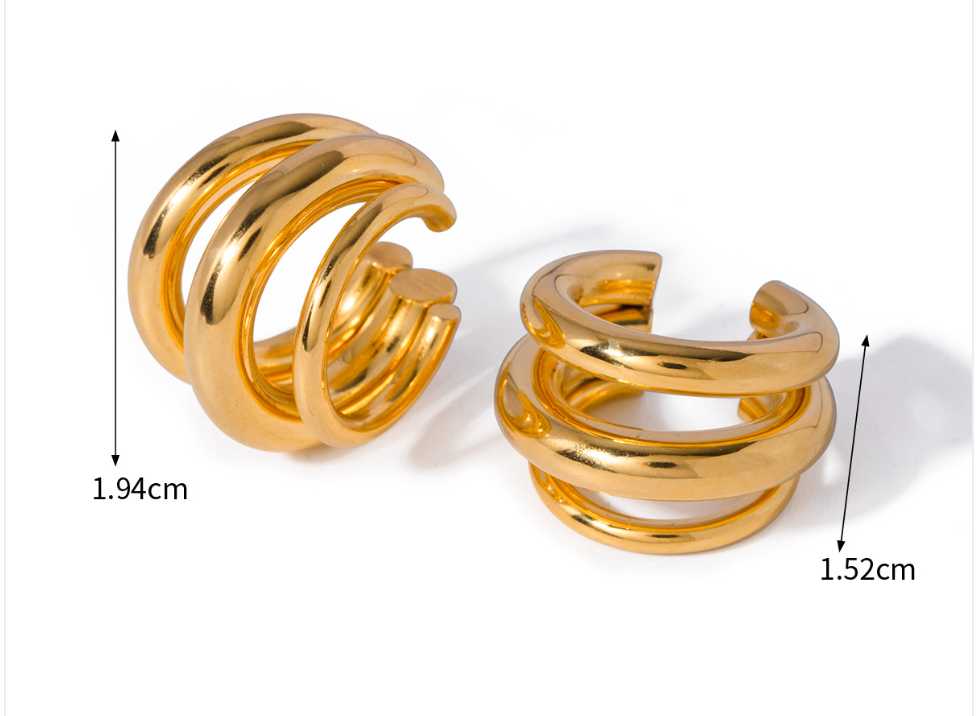 Stainless Steel Earrings