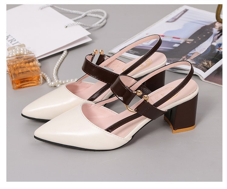 2024 Spring/Summer Women’s Pointed Toe Chunky Heels