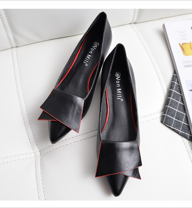 Women’s Pointed Toe Flats with Chunky Heel Design
