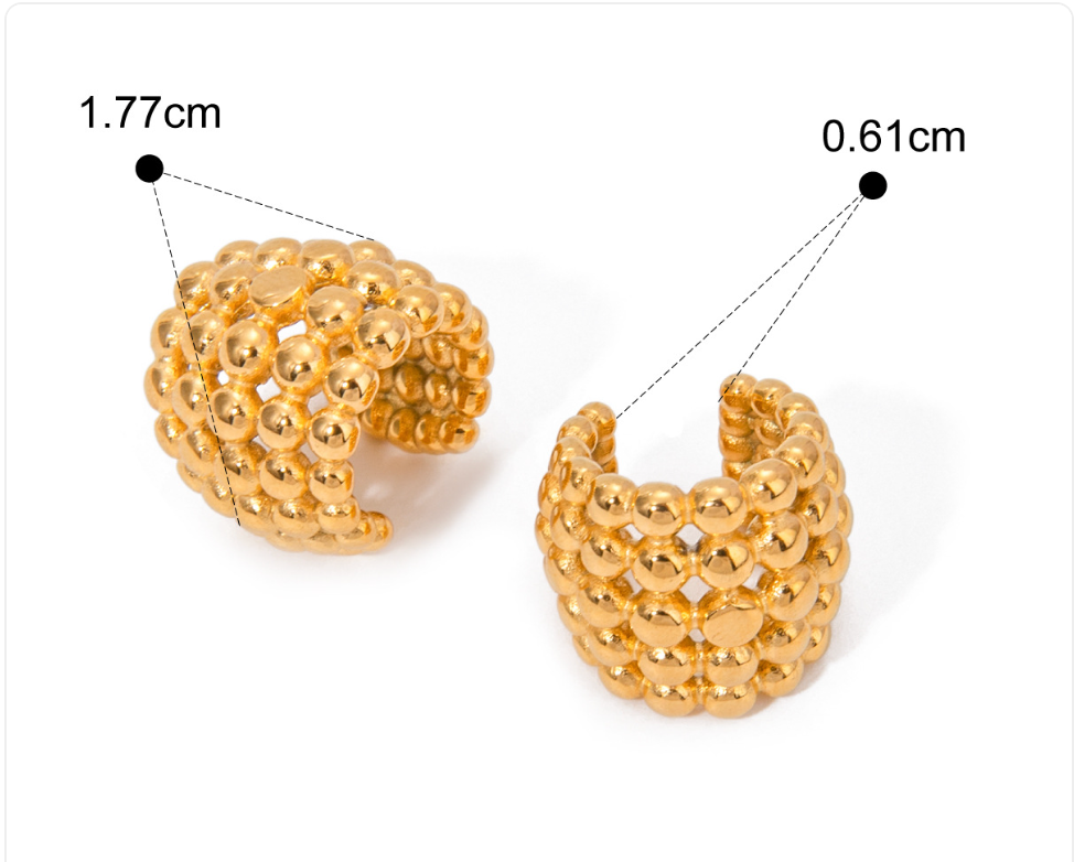 Stainless Steel Earrings