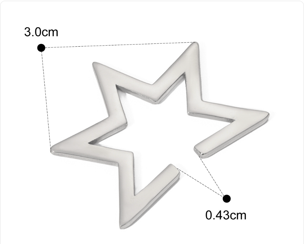 Stainless Steel Earrings