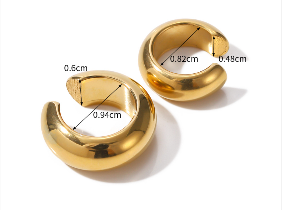 Stainless Steel Earrings